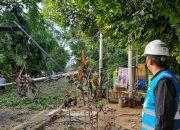 Manager PLN Muara Enim Angkat Bicara, 4 Tiang Listrik Patah Diterjang Hujan  Angin