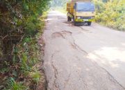 Infrastruktur Jalan Dusun Sukarami Arah Pandan Dulang, Di Saat Melintasi Banyak Menuai Keluhan Warga