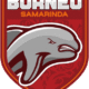 Logo Borneo FC Samarinda jelang Persijap vs Borneo FC